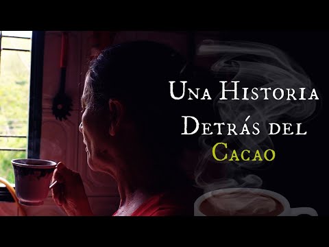 Documental l CACAO en Ocamonte, Santander 🍫🌱