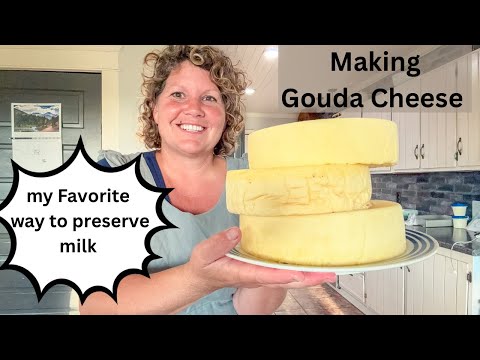 Gouda Cheese Tutorial, Cheese, it is How You Preserve Milk!!