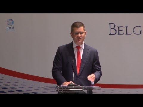 Opening Remarks to the CIRSD International Conference WWI by Mr. Vuk Jeremić, CIRSD President