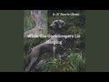 WhileThe Gamekeepers Lie Sleeping