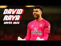 DAVID RAYA | Best SAVES - 2023