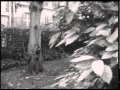 Syd Matters - My Lover's On The Pier (HD) 