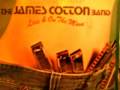 THE JAMES COTTON BAND - GOODBYE MY LADY