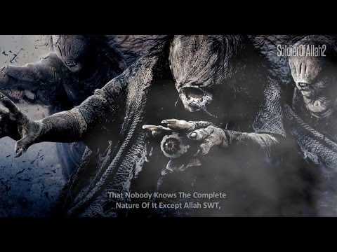 Mos u frikëso nga Xhinnët! (Bota dhe llojet e Xhinnëve)