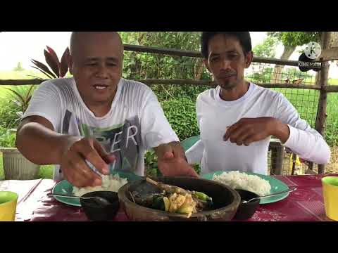 Sinigang na native na manok