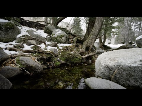 I’m Noticing the Thought: A Mindfulness Exercise