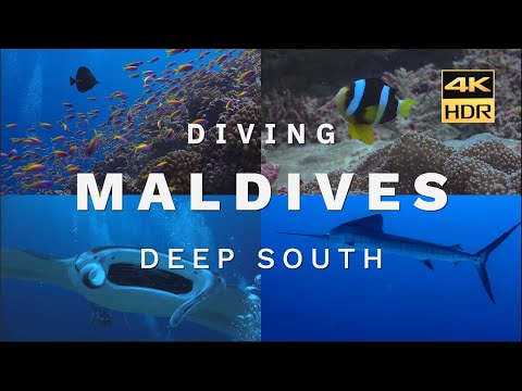 Maldives Deep South Atolls Diving on Emperor Serenity | 4K HDR | 2023