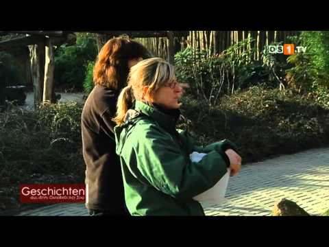 Geschichten aus dem Zoo - Inventur