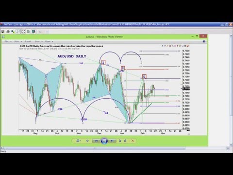 February 22nd Trade What You See with Larry Pesavento on TFNN - 2016