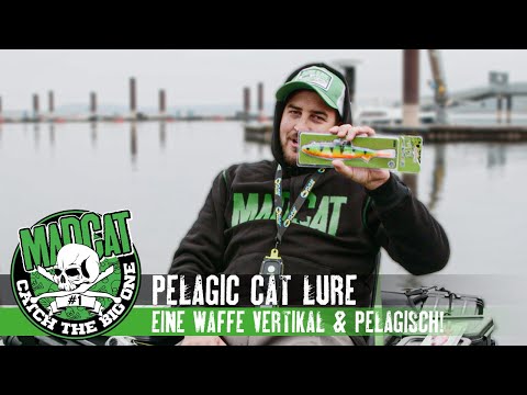 PELAGIC CAT LURE: Super realistischer Vertikalköder für das pelagische Welsangeln I MADCAT Welsköder
