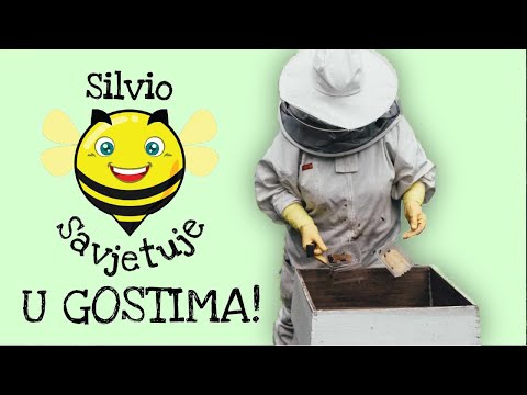 Kako pretopiti staro saće? U gostima kod Adama Kneževića...