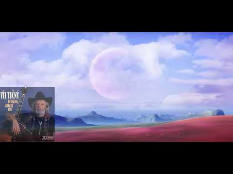 VÍTEK TUČNÝ & (GOLDEN RANCH video kanál) - Mám brouka v hlavě (Mp4 2024)