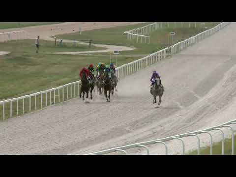 2021.08.15. 05. futam - ELTHAM HENDIKEP (V.o.) (szintetikus pálya)