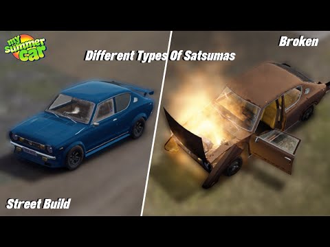 Different Types Of Satsuma AMPs - My Summer Car