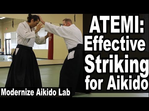 Aikido Atemi | Effective AIKIDO STRIKES • Modernize Aikido Lab