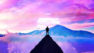 Josh Jacobson - Fence