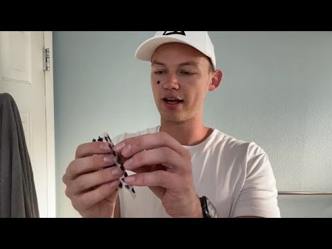 Honest Review of LitBear Acne Patches - What You Should Know