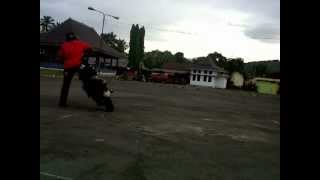 preview picture of video 'freestyle motor Ibob and gugum MONABE EXTRIME MAJALENGKA'