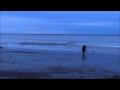 Rosie Darko - Michael Andrews