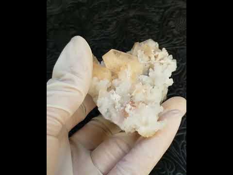 スティルバイトについて詳しく解説