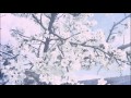 The Radio Dept. - Bus