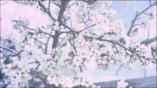 The Radio Dept. - Bus