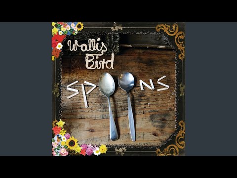 All for You - Wallis Bird