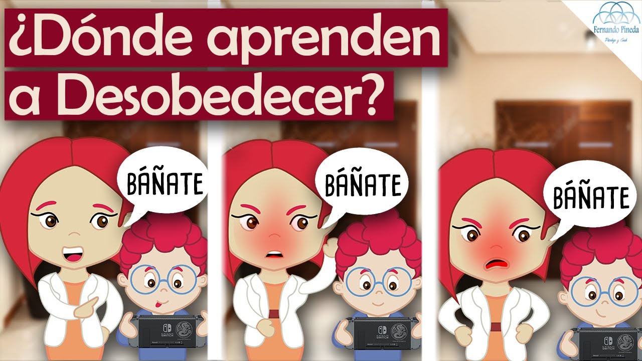 Watch Las razones por las que los hijos no obedecen a la primera y que DEBES conocer Now Las razones por las que los hijos no obedecen a la primera y que DEBES conocer