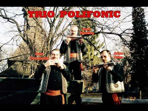 Trio Polifonic - Cantec de dor