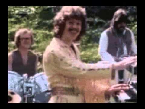 The Shadows Of Knight   -    Shake