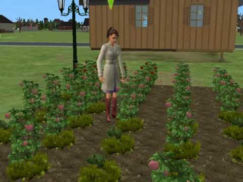 super1230msp’s Video 104359138832 V-HWtL3E1Mg