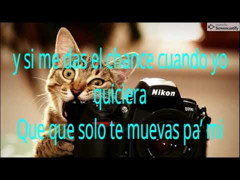 trampa Andy Rivera Argüello Mik Mish - letra