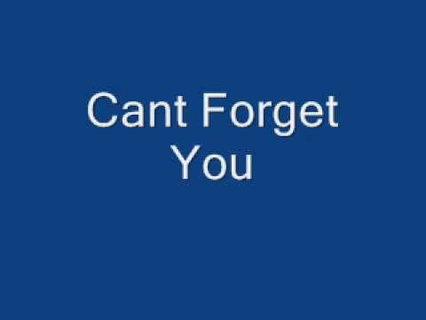 Original Sing: Cant Forget You.wmv