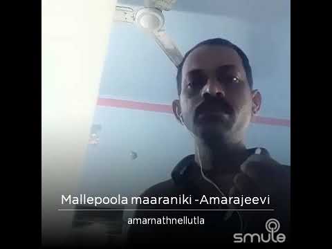 Happy birthday to you...