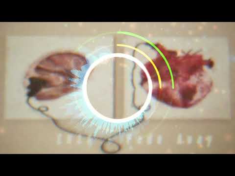 melodic dubstep like nurko、trivecta