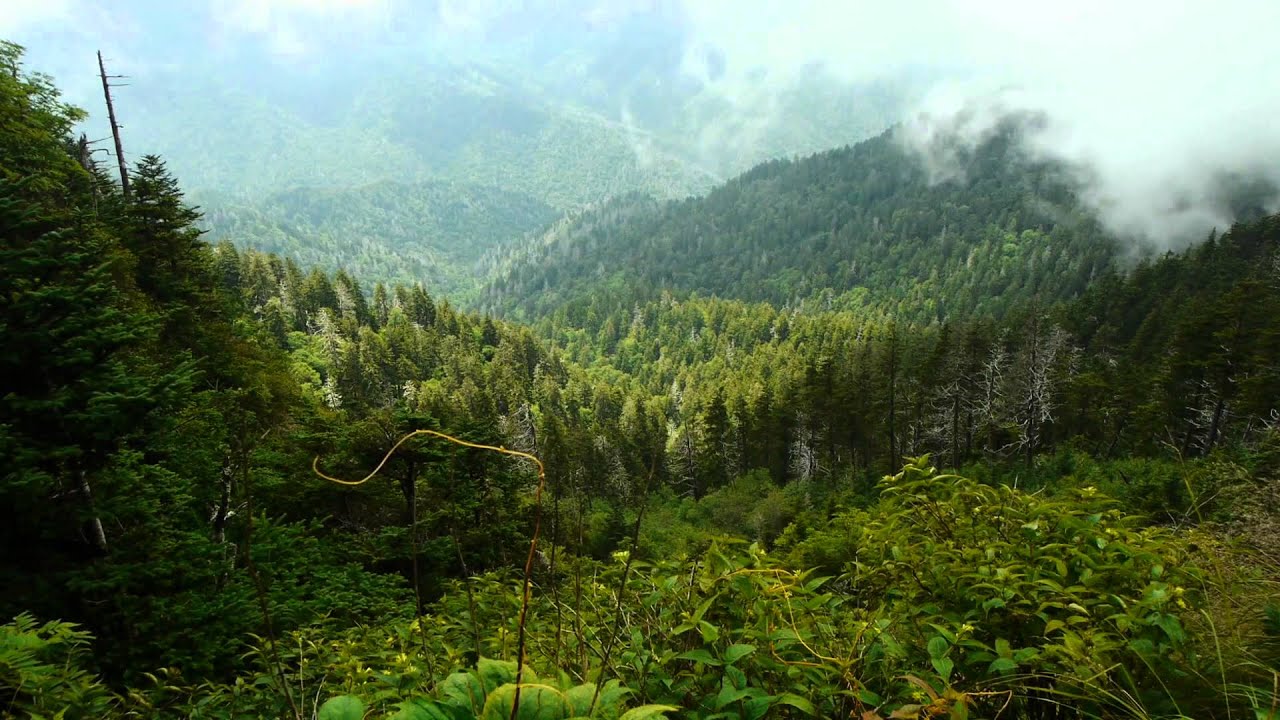 Sacred Mountain of the Smokies - Introduction to Mt Le Conte