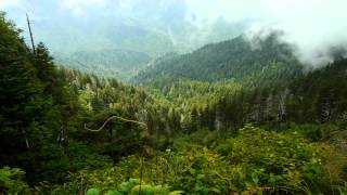 Sacred Mountain of the Smokies -  Introduction to Mt Le Conte