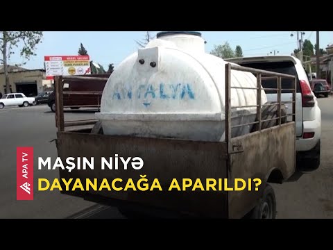 Lənkəranda reyd keçirildi - "150 litr südüm var idi, məcbur gətirdim" - APA TV