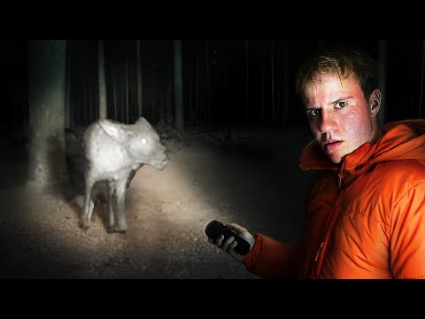 Is The Chupacabra Actually Real?