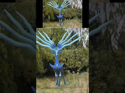 una Célula de Zygarde en la ruta del rio Bio Bío, Hualqui #xerneas #preciuspaths #pokemongo