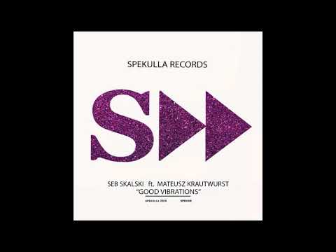 Seb Skalski ft. Mateusz Krautwurst - Good Vibrations ( Seb Skalski Synth Mix )