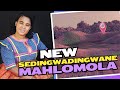Mahlomola Ft Ezrah Sedingwadingwane