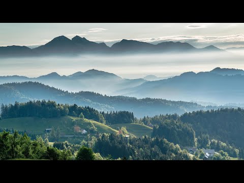 Tiviso - coup de foudre