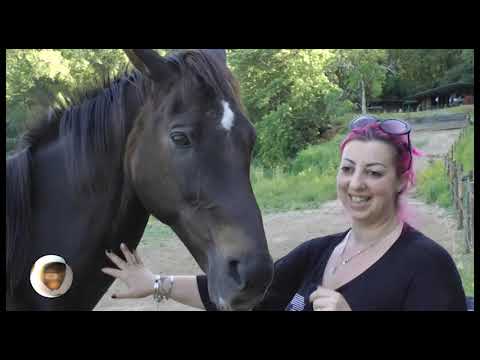 BARBERI D'ORO - ISTRICEDDU