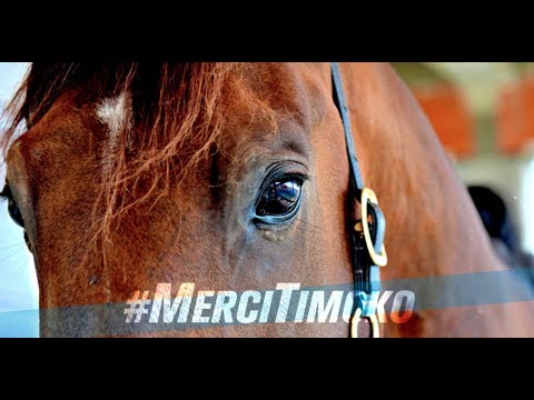 TIMOKO: LA LÉGENDE