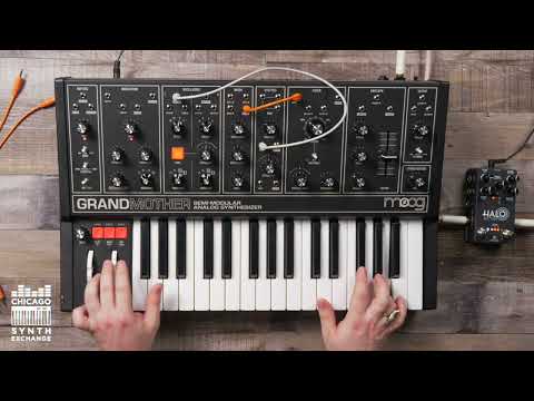 Moog Grandmother Semi-Modular Analog Synthesizer image 4