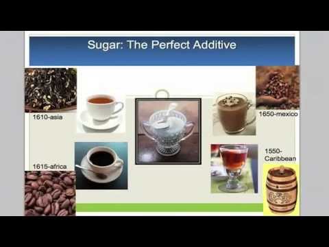 Prof. Richard Johnson - 'The Origins of Obesity and the Fattening of Man'