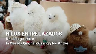 Hilos entrelazados: Un diálogo entre la Meseta Qinghai-Xizang y los Andes Capítulo III Innovaciones