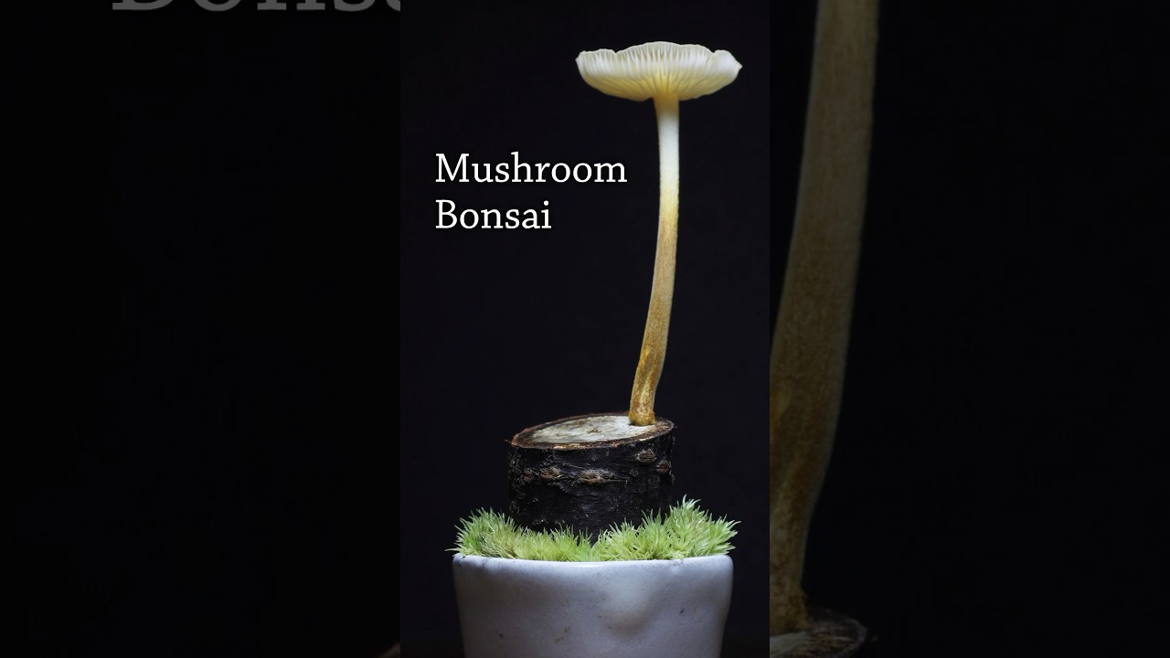 Don’t worry. Everyone makes mistakes.