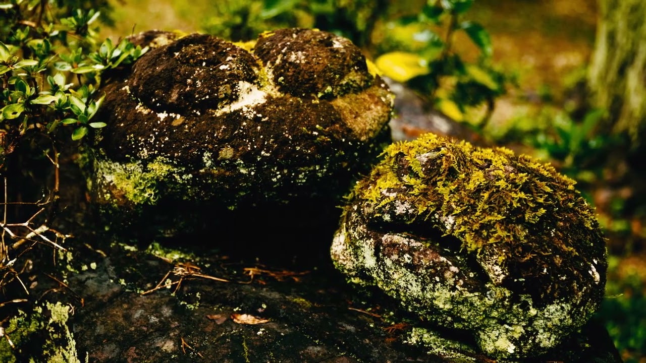 「日本の真ん中で映画を撮る」伊勢志摩フィルムコミッションPV